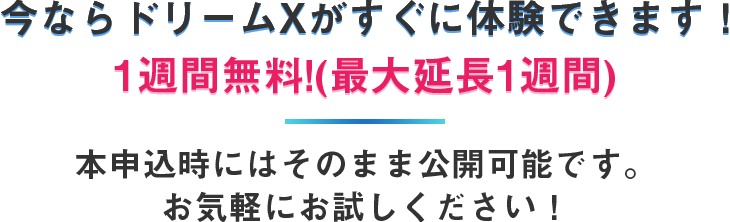 今ならドリームXがすぐに体験できます!1週間無料!(最大延長1週間まで)本お申込み時にはそのまま公開可能です。お気軽にお試しください!